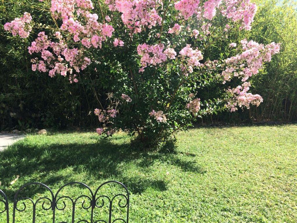 Cottage La Villa Bolero Saint-Cyr-sur-Loire Eksteriør bilde
